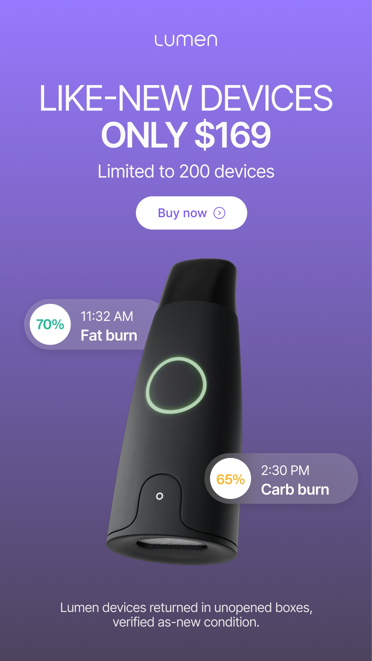 Newsletter content from lumen