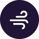 Newsletter content from lumen
