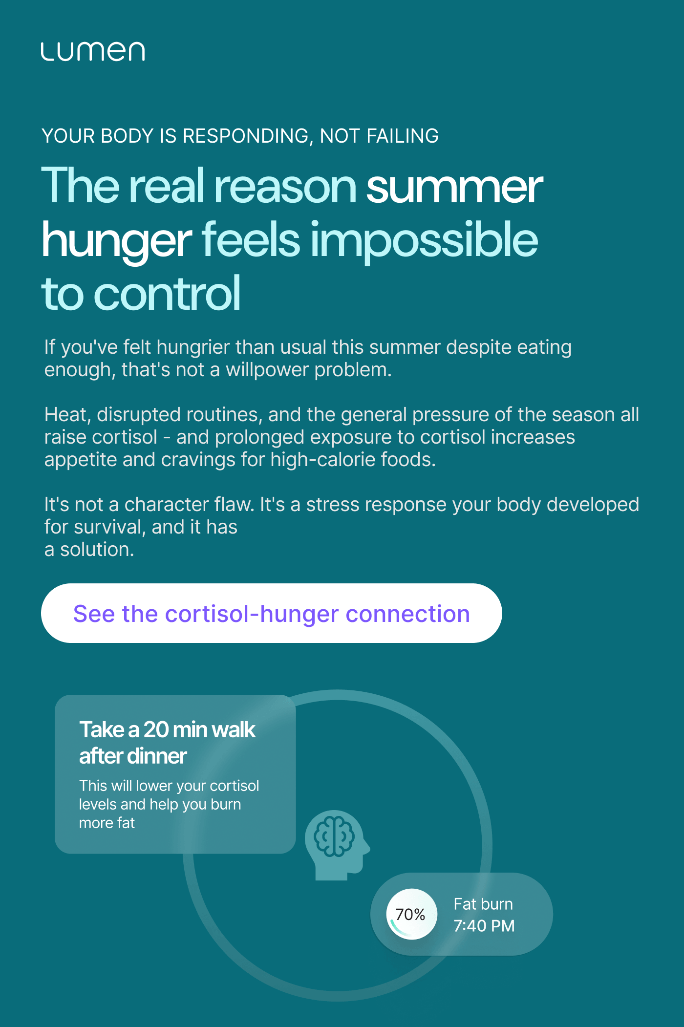 The real reason summer hunger feels impossible to control — See the cortisol-hunger connection